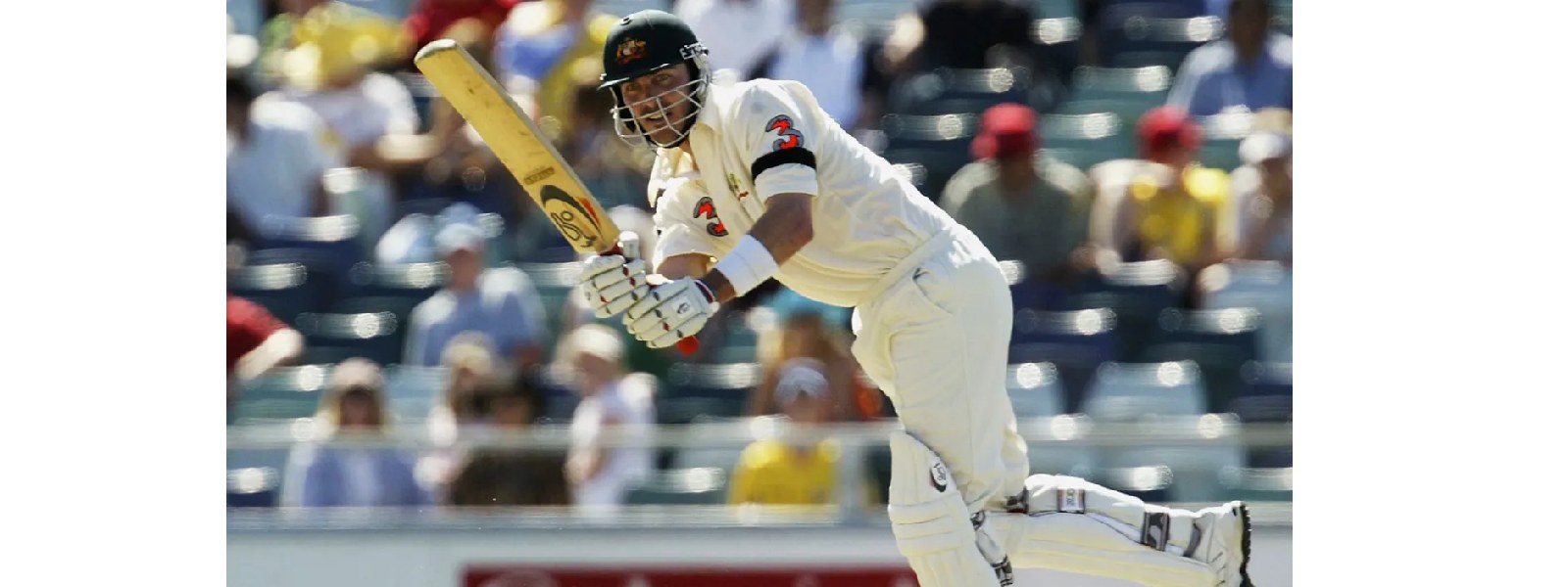 ඩේමියන් මාටින් කෝමා තත්ත්වයක..